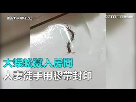 台北外約茶 房間突然出現蜈蚣